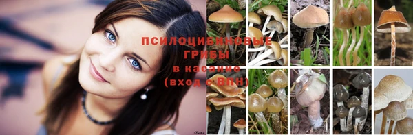 кристаллы Костерёво