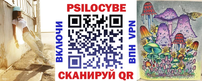 Купить закладки  Большой Камень  Псилоцибиновые грибы мухоморы 